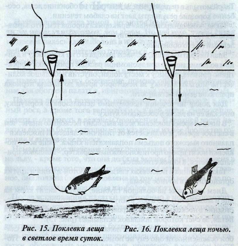 Как правильно ловить леща зимой